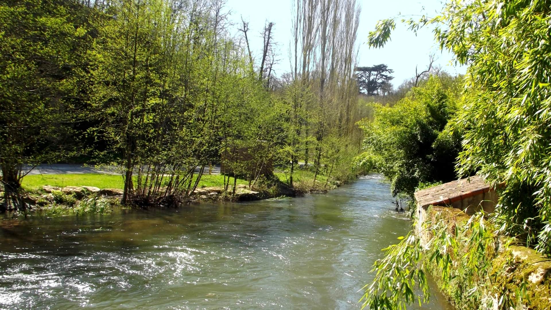 La vallée de la Boivre à Biard, méandres du cours d'eau entre des versants boisés
