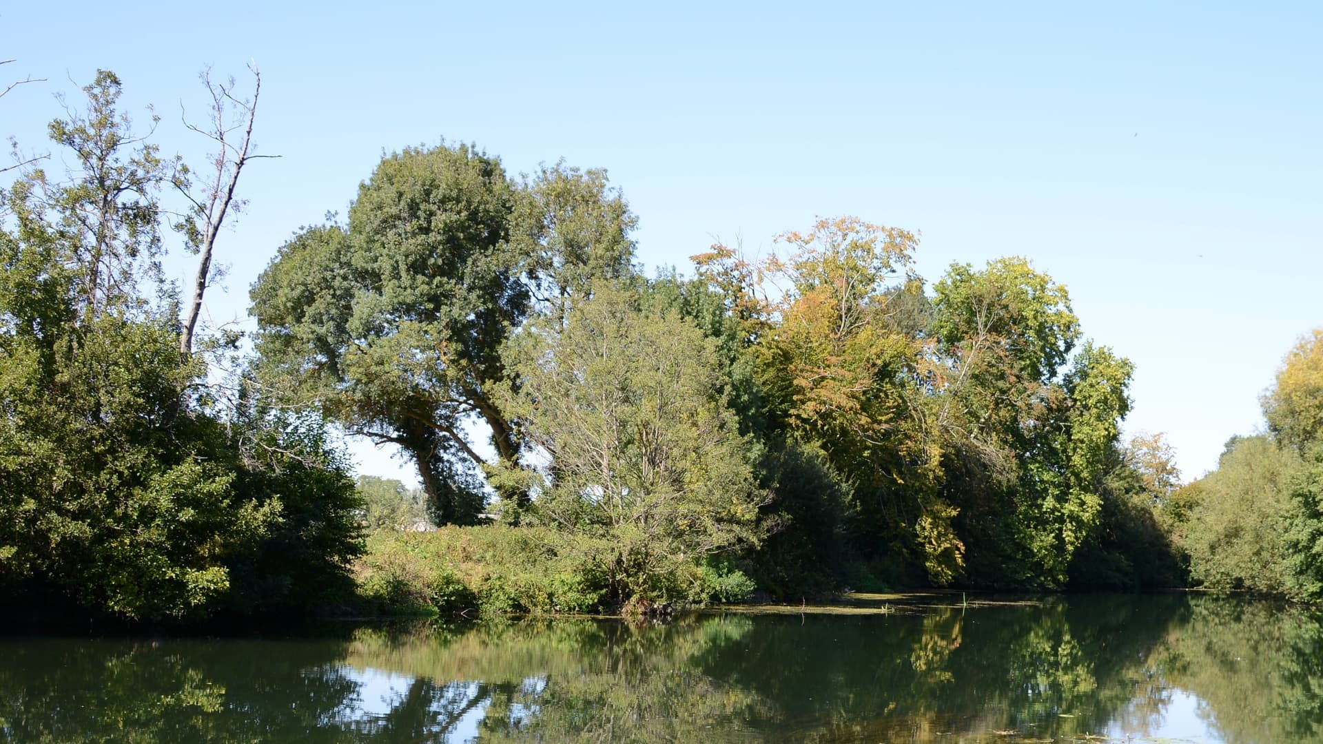 Les bords du Clain à Buxerolles, berges boisées et reflets calmes de la rivière