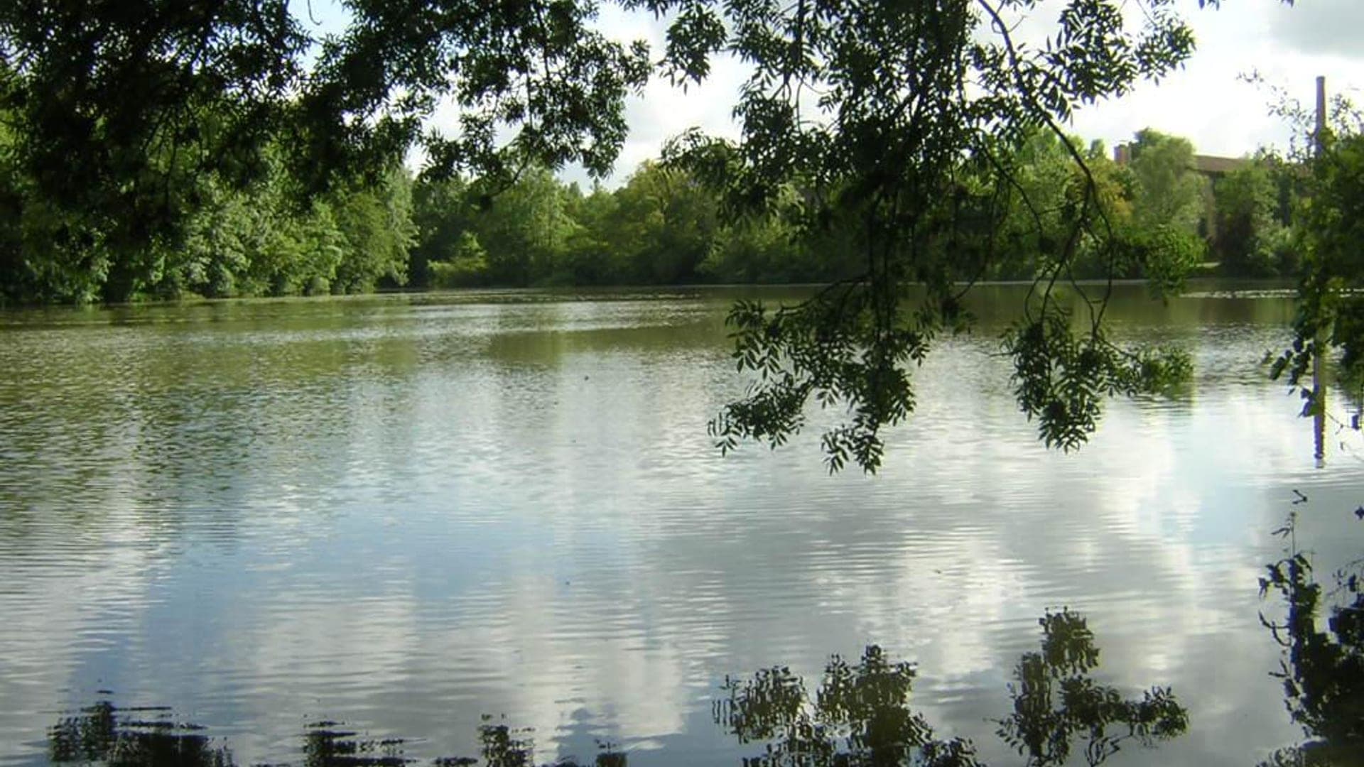 Le plan d'eau de la Filature à Ligugé, reflets des arbres sur une eau calme et claire